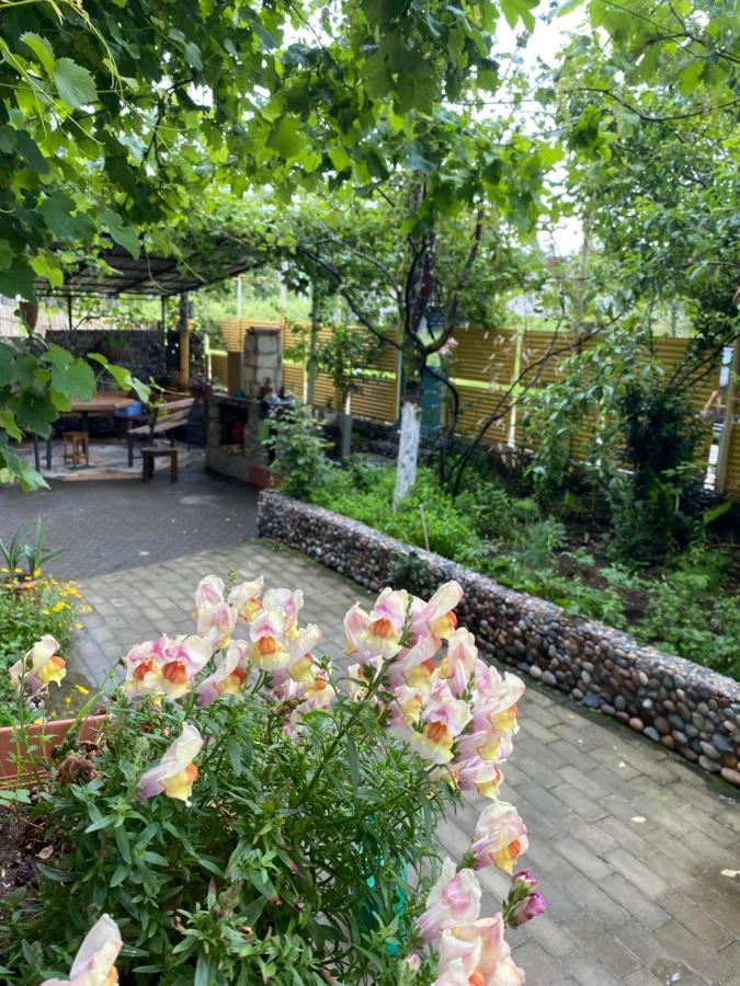Guest House Mari Ureki Luaran gambar
